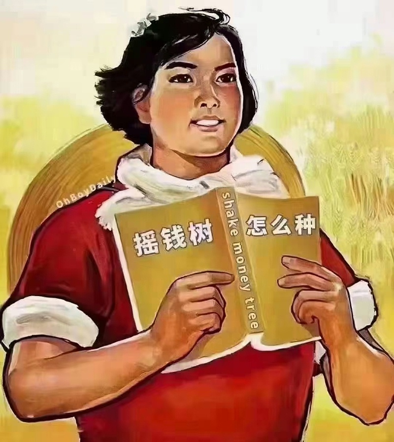 摇钱树怎么种？